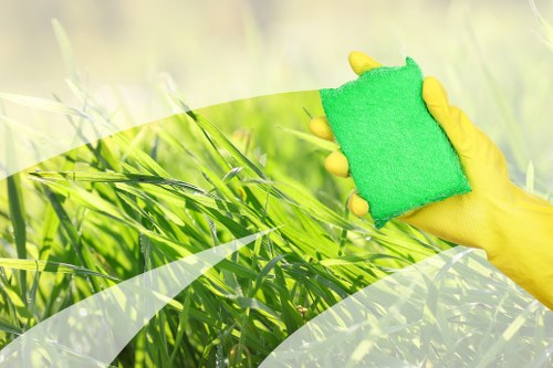 Professional oven cleaning service in Ilford with a spotless kitchen appliance