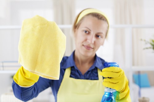 Local cleaners providing home cleaning services in Ilford