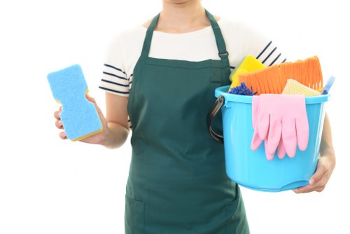 Regular house cleaning support for a home in Ilford