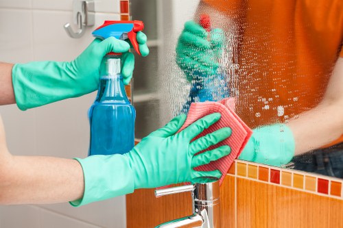 Cleaner providing local domestic cleaning support in an Ilford home
