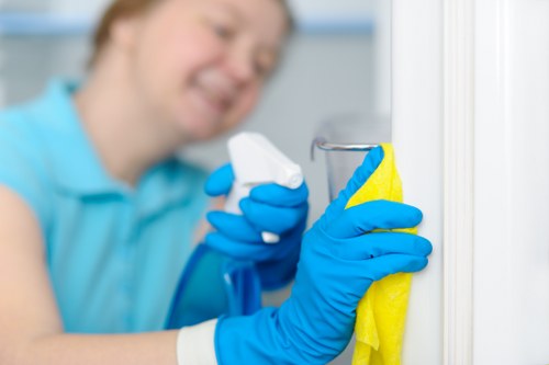 Deep cleaning a bathroom in a flat near Ilford