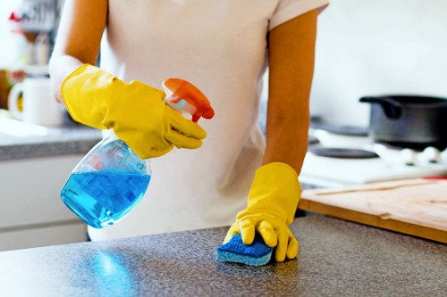Professional cleaners serving Ilford homes, flats, and business premises