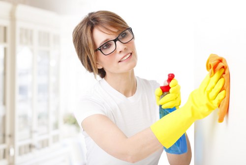 Deep oven cleaning service for a home in Ilford