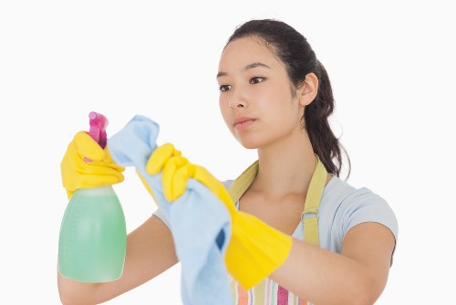 Professional cleaning service for homes and flats in Ilford