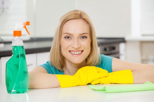 Professional oven cleaning service for homes in Ilford