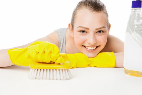 Upholstery cleaning process for fabric sofas and chairs