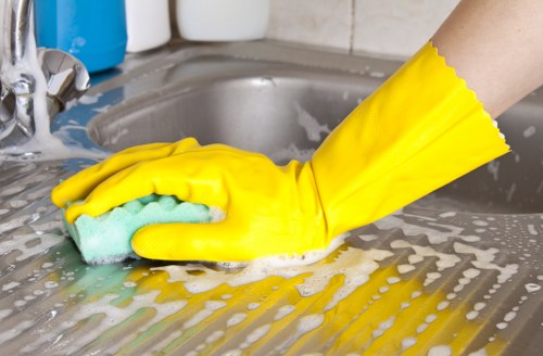 Kitchen appliance cleaning details