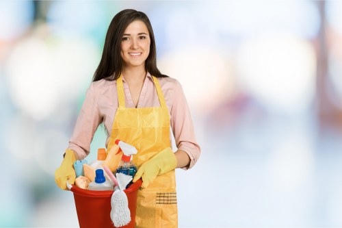 Regular home cleaning service for Ilford residents