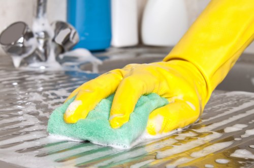 Oven parts and glass cleaning
