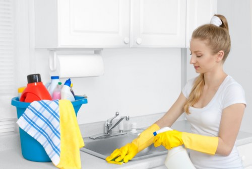 Deep cleaning oven racks, glass, and interior panels