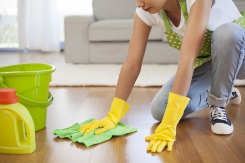 Transparent oven cleaning pricing with example jobs in Ilford